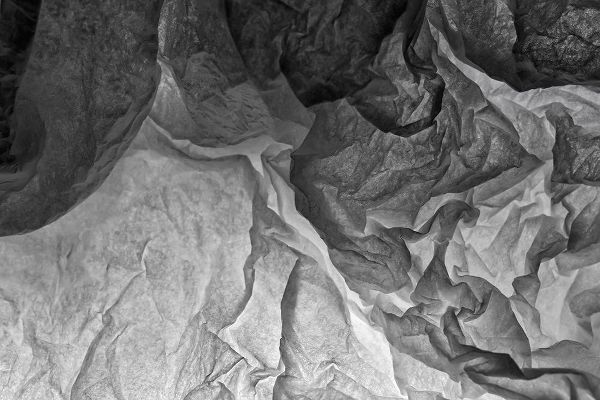 Tissue Paper on Light abstracts